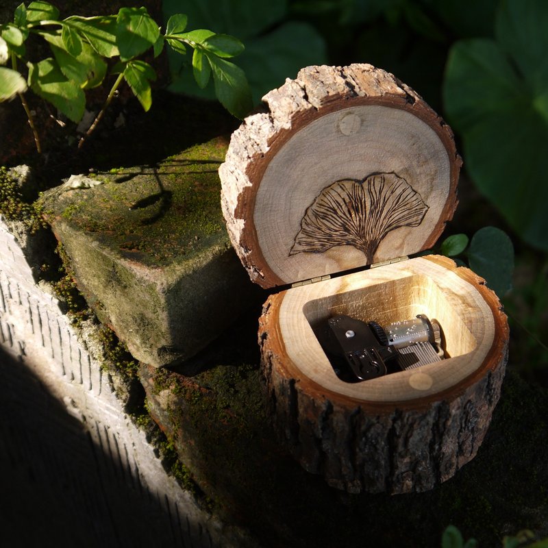 Camphor wood music box with music tracks - My Neighbor Totoro - เพลงอินดี้ - ไม้ สีนำ้ตาล