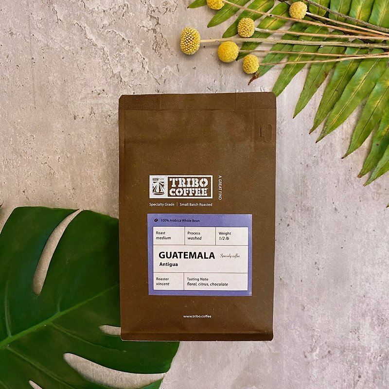 Guatemala Antigua Flora Washed Medium Roast (half pound of coffee beans) - กาแฟ - วัสดุอื่นๆ 
