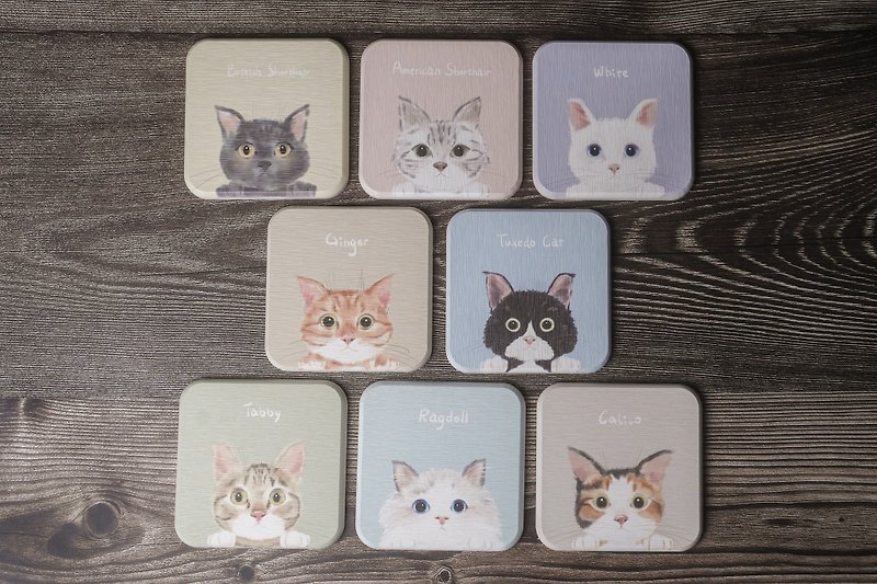 Peep at You Series Coaster Set Gift Box - Coasters - Other Materials 