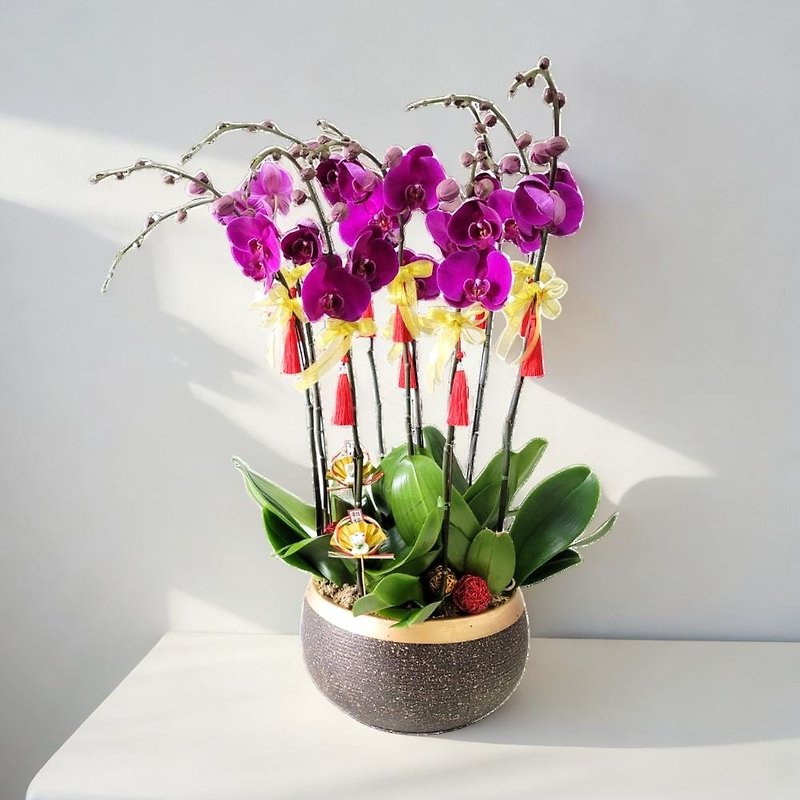Pepper Large Moth / Phalaenopsis Orchids (8 Flowers) GF00232 - ตกแต่งต้นไม้ - พืช/ดอกไม้ 