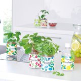 Green pet Hydroponic Herb Plant Planting Bottle (Fertilizer Included)