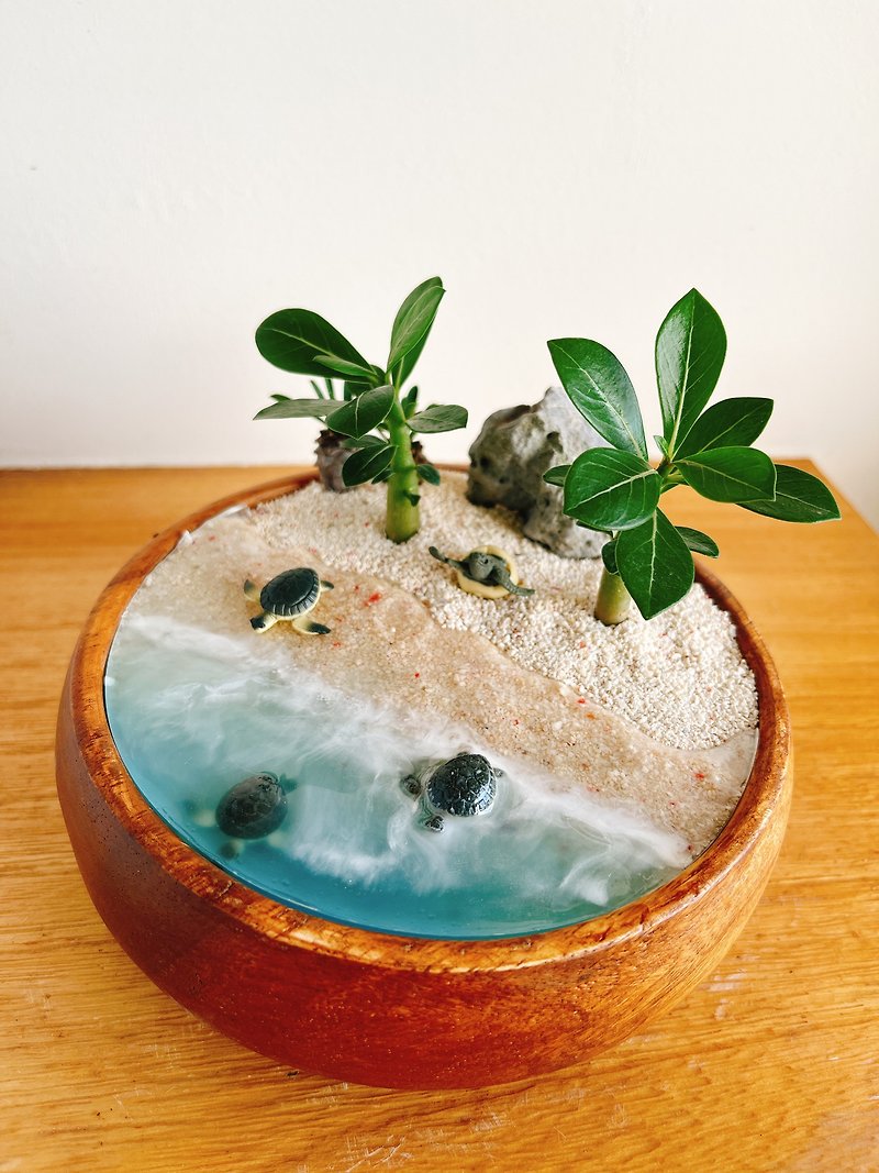 Pure natural little sea turtle dripping glue succulent wooden bowl beach hatching gift animal beach - ตกแต่งต้นไม้ - พืช/ดอกไม้ สีน้ำเงิน