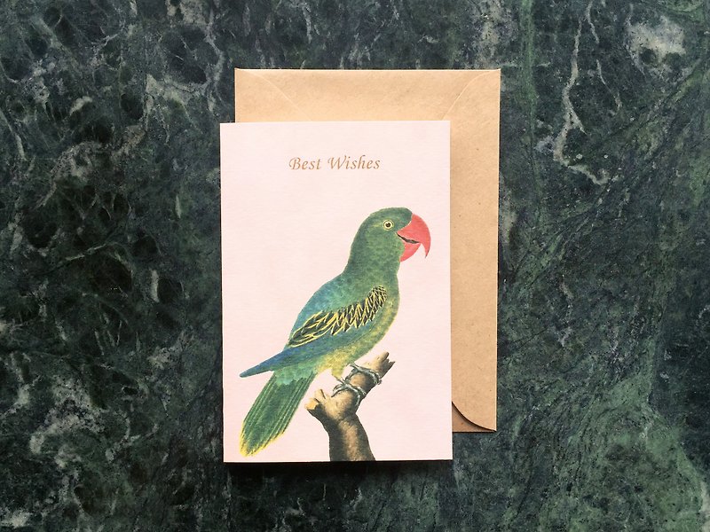 Retro Universal Card Parrot - การ์ด/โปสการ์ด - กระดาษ สึชมพู