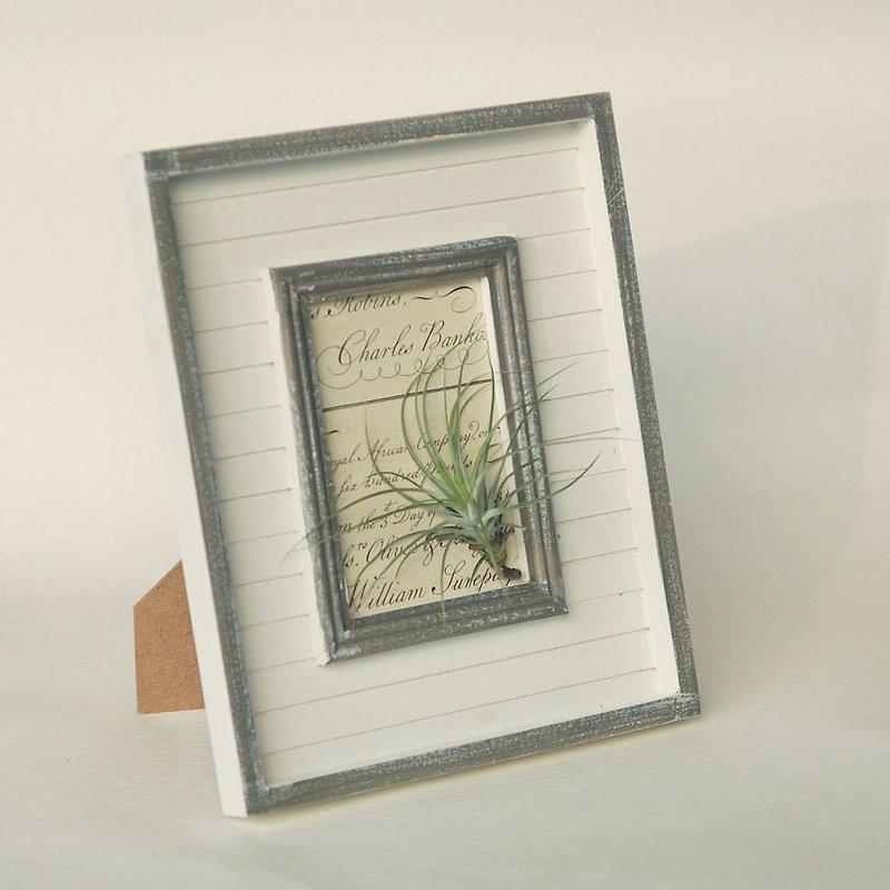 植物畫框-空氣鳳梨/讓室內充滿優雅的氣質/禮物/生日/新居 - 植栽/盆栽 - 植物．花 綠色