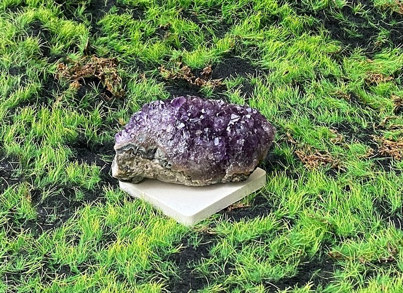 原皮原礦紫晶簇 紫水晶共生黑碧璽  磁淨化 開運 辦公室 風水擺件 - 擺飾/家飾品 - 水晶 多色