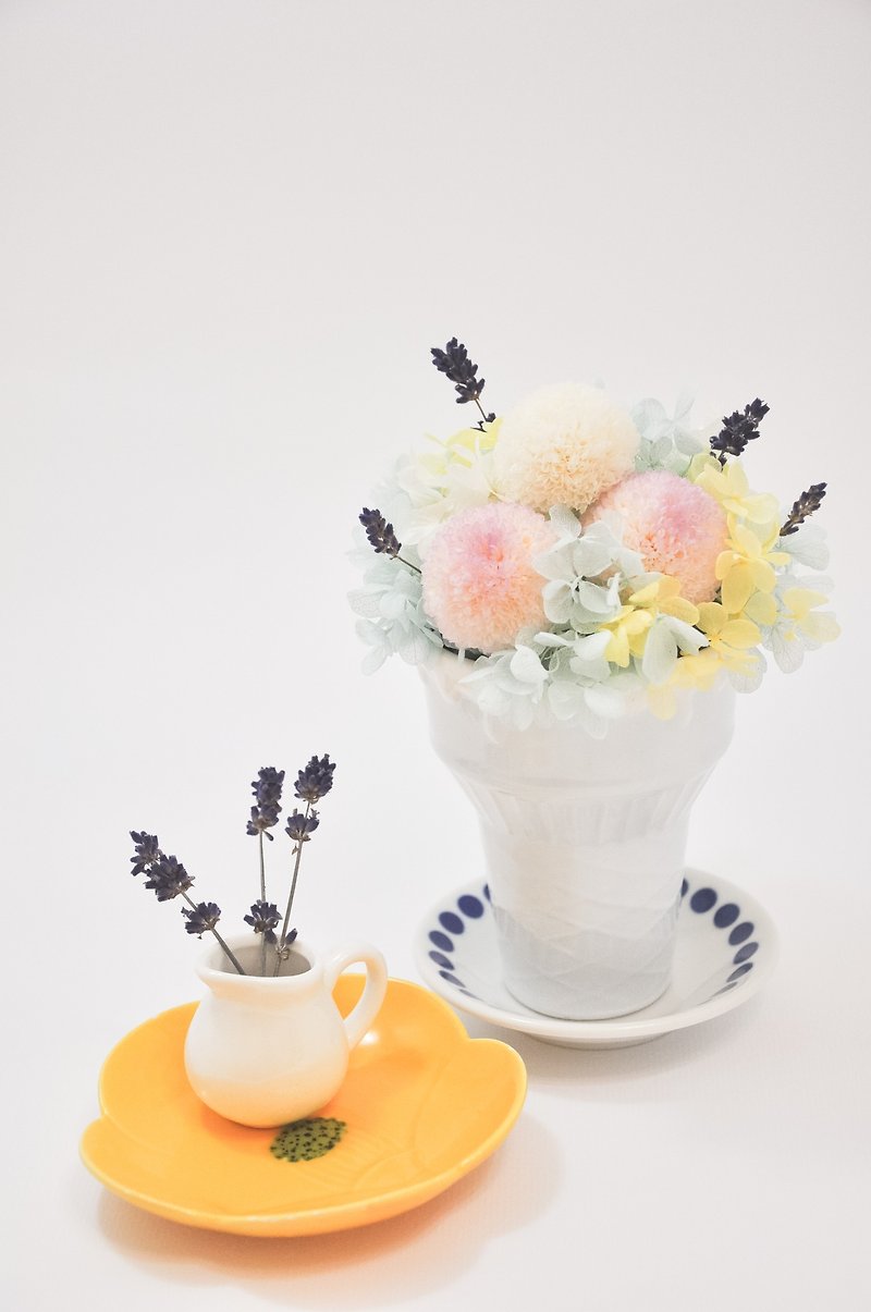 Lovely Ping-Pong Ice Cream with Lavender│夏日薰衣草冰淇淋恆星花禮 - 植物/盆栽/盆景 - 植物．花 