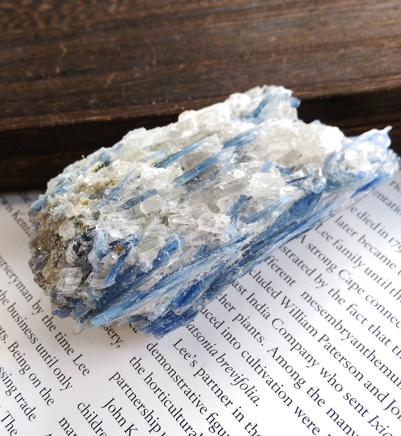 Kyanite 安徽產地 藍晶石 石英共生礦 天然礦石 原礦 - Items for Display - Other Materials 