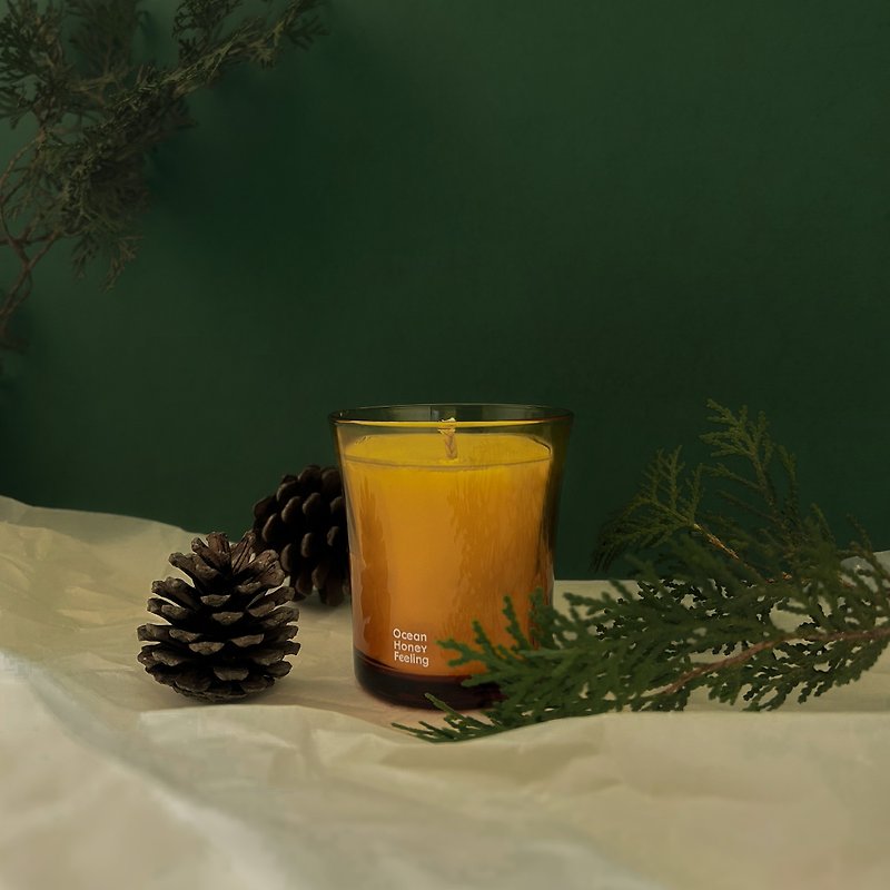 Winter Dawn scented candle | cedar and cypress - Fragrances - Wax 