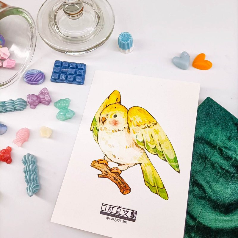 KR474_口紅堂明信片_鸚鵡11_candy1313588 postcard - 卡片/明信片 - 紙 多色