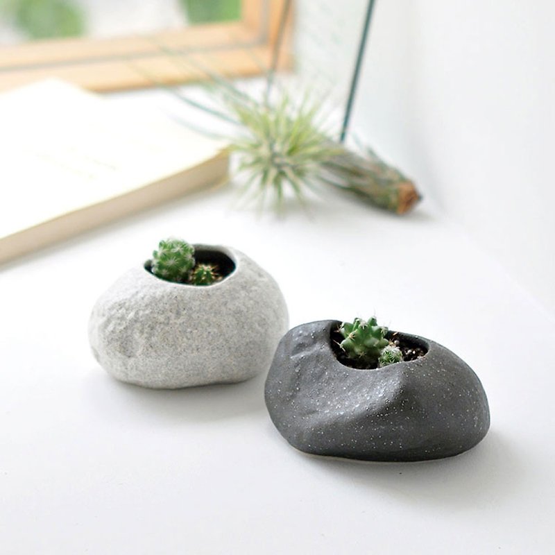 Rock Stone 石頭造型 仙人掌植栽種植組 陶瓷盆器 - 植栽/盆栽 - 陶 灰色