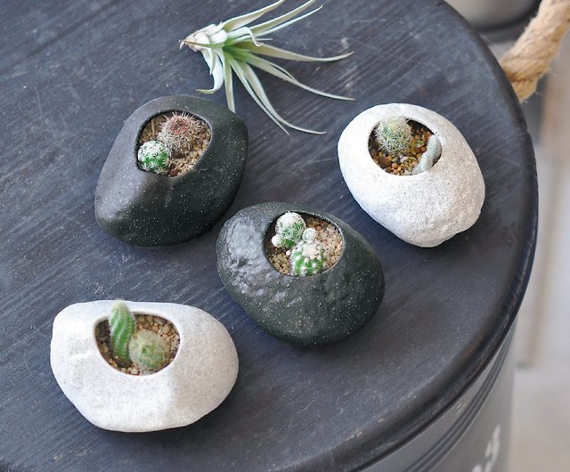 Rock Stone 石頭造型仙人掌植栽種植組陶瓷盆器- 設計館聖新陶芸SEISHIN