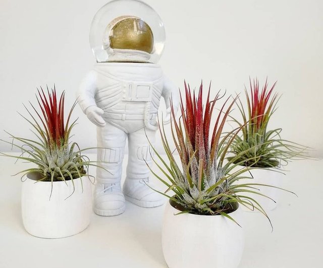 サマーギフト】DONKEYPRODUCTS宇宙飛行士クリスタルボール