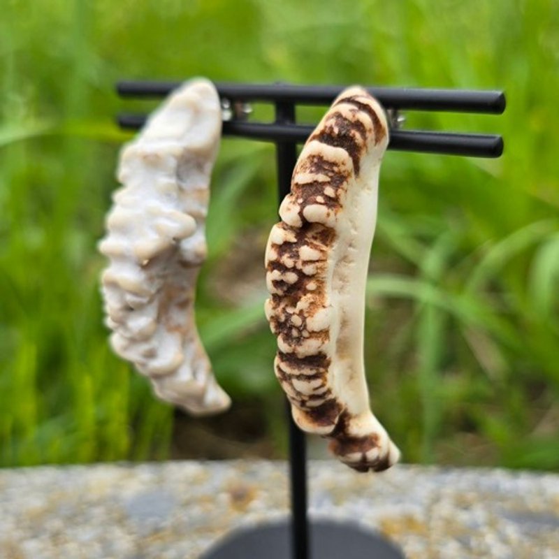 Deer antler earrings - Earrings & Clip-ons - Other Materials 