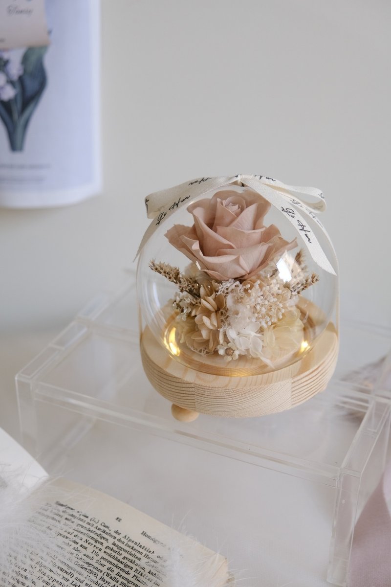 (Lamp style) Milk Tea-Eternal Flower Glass Flower Ball - Dried Flowers & Bouquets - Plants & Flowers Khaki