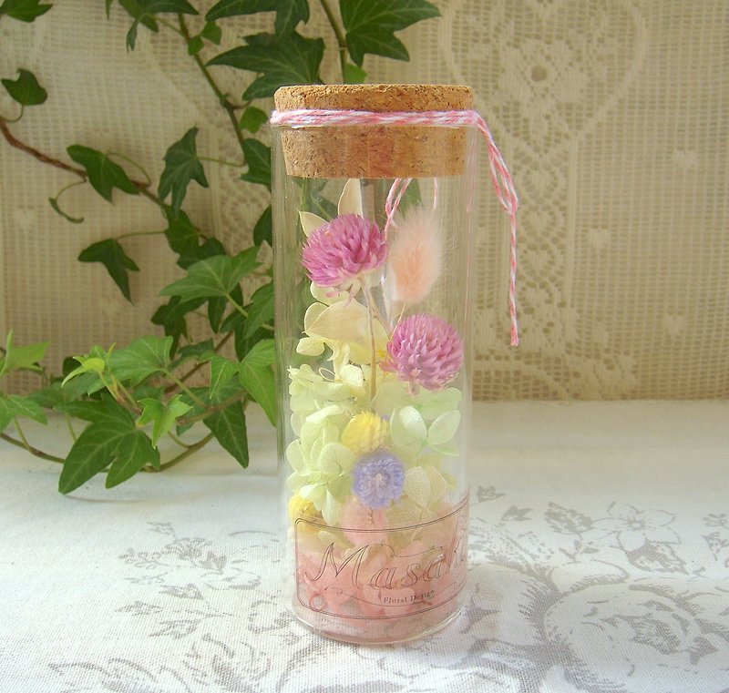 ✿Masako✿ flower grass bottle plant specimens immortal flower dry flower healing system - ตกแต่งต้นไม้ - พืช/ดอกไม้ 