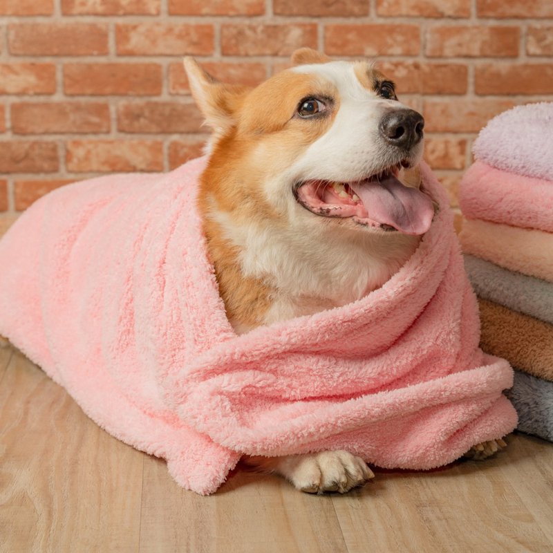 Made in Taiwan [Jinduoyun Towel] super absorbent antibacterial and odor-suppressing pet towel/furry child towel - Cleaning & Grooming - Polyester Pink