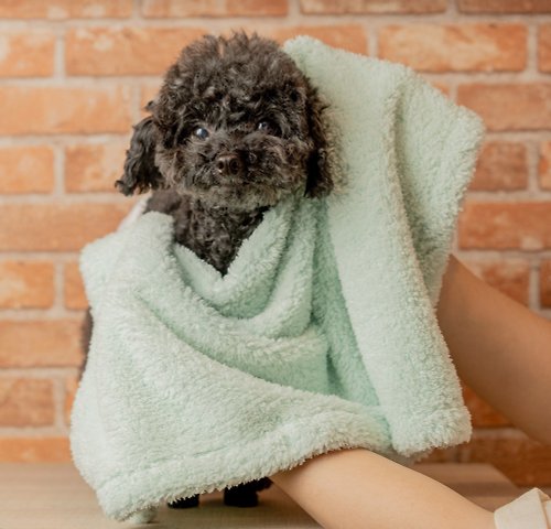 Extremely absorbent and antibacterial pet towel [Jin Duo Yun]