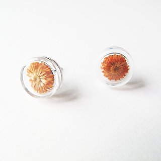 * Rosy Garden * Dried flowers orange Anaphalis sinica round glass earring