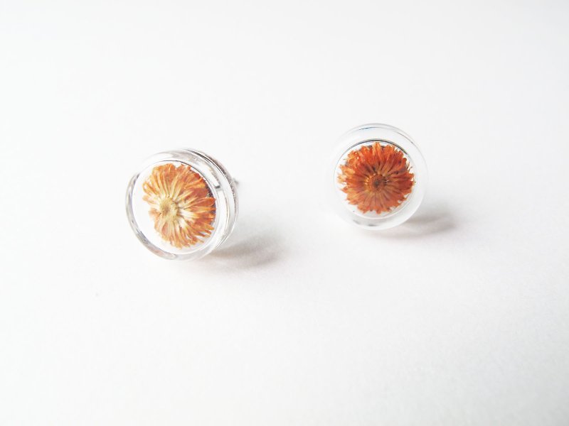 * Rosy Garden * Dried flowers orange Anaphalis sinica round glass earring - Earrings & Clip-ons - Glass Orange