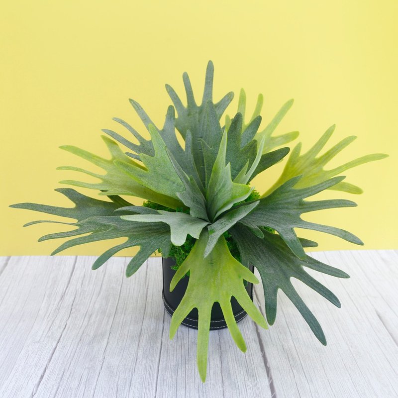 Highly realistic staghorn fern potted plant/realistic plant/gift/greening/never fade/arrangement/fern - ตกแต่งต้นไม้ - วัสดุอื่นๆ 