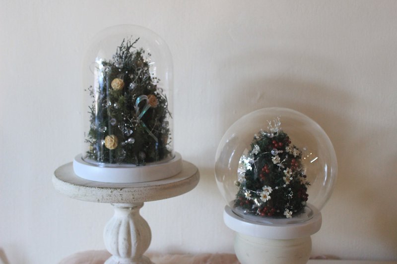 永生聖誕樹盅罩 聖誕小樹 - 擺飾/家飾品 - 植物．花 透明