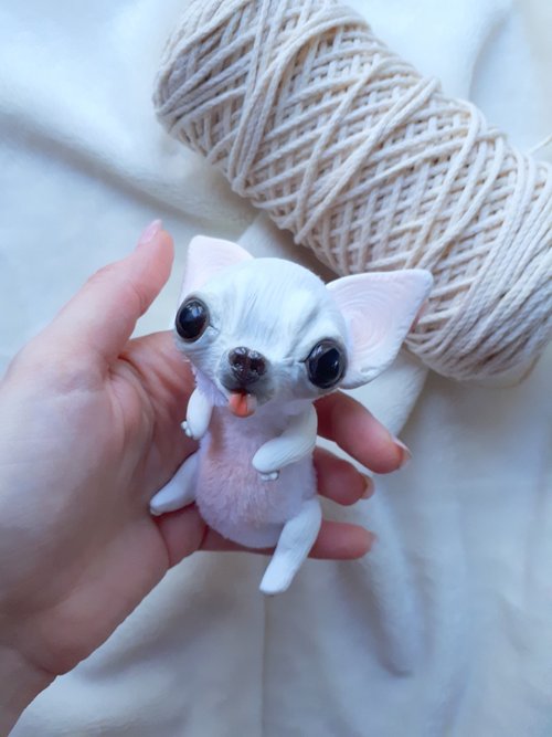 White chihuahua stuffed clearance animal