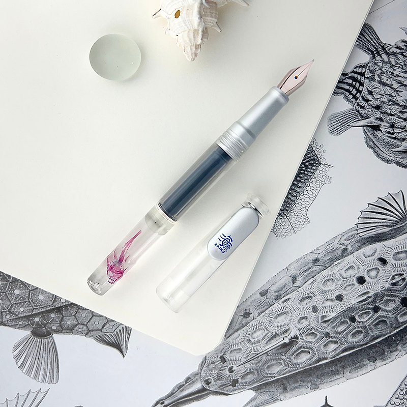 Kairu x SKB Transparent Specimen Fountain Pen + Ink Gift Box with Four Colors - Fountain Pens - Plastic White