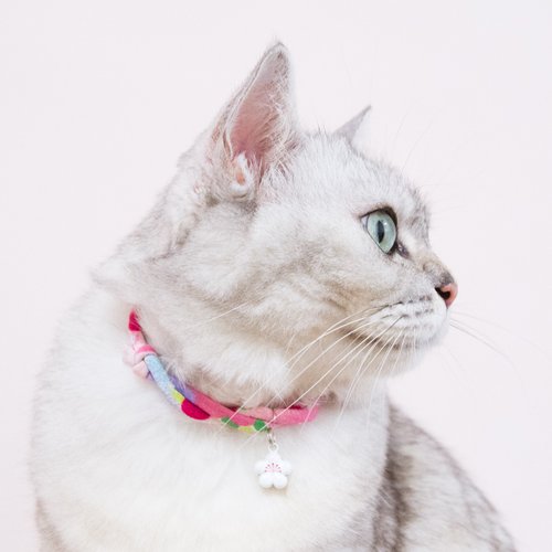 プッチ、フラワー柄(パープル①)わんちゃん猫ちゃん用首輪 CAT COLLAR キャットカラー フラワーカラー パープル | ペティオ