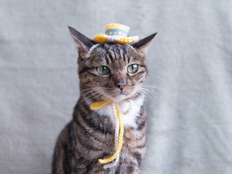 [Sunflower・ひまわり Series] Pet Accessories Cat/Dog-Beige Two-Color Flower Hat - Collars & Leashes - Cotton & Hemp Yellow