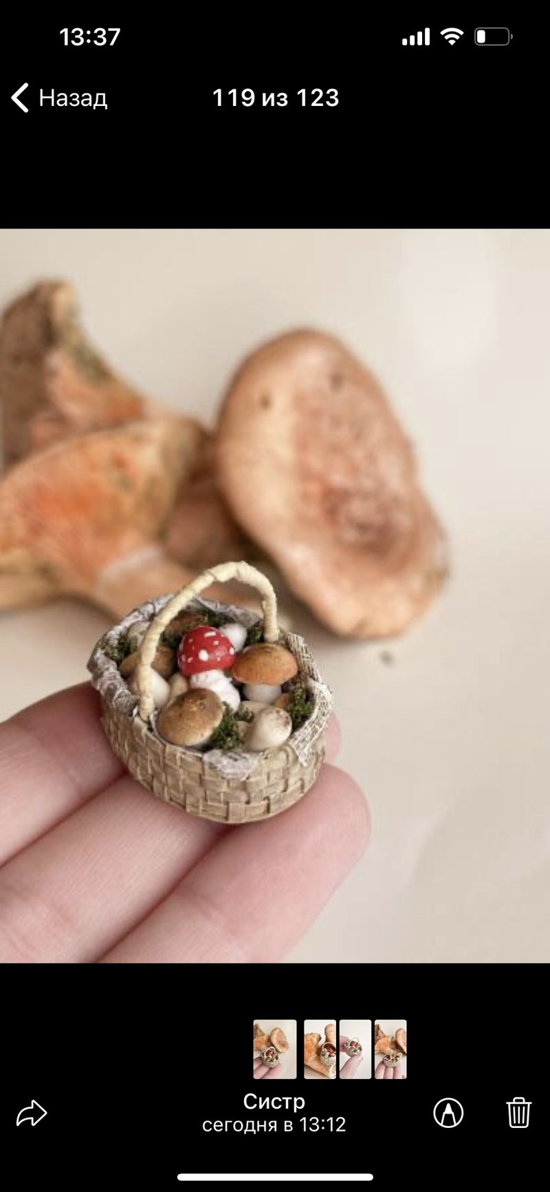 Miniature mushrooms scale 1:12 - 公仔/玩偶 - 其他材質 多色