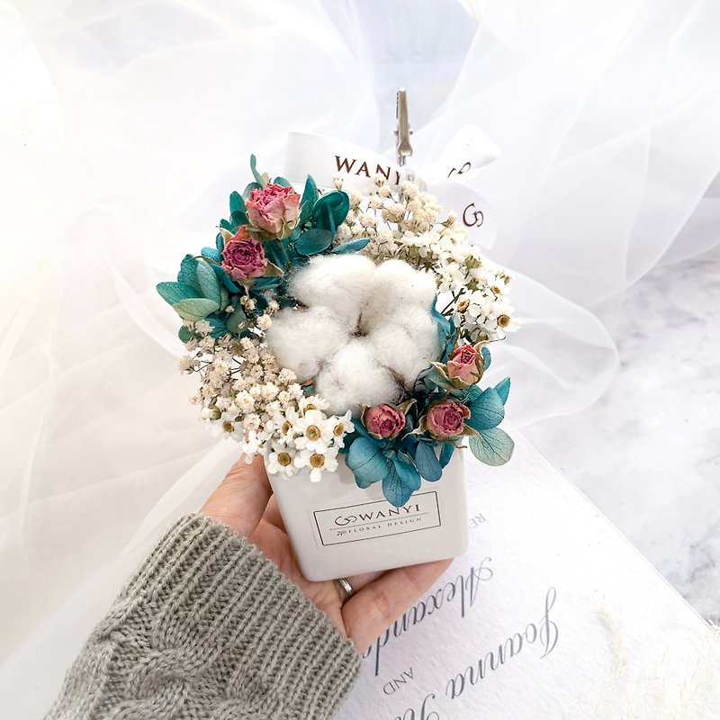 Small garden cotton potted flowers dried flowers Christmas gifts wedding small things gifts graduation gifts gifts - ตกแต่งต้นไม้ - พืช/ดอกไม้ 