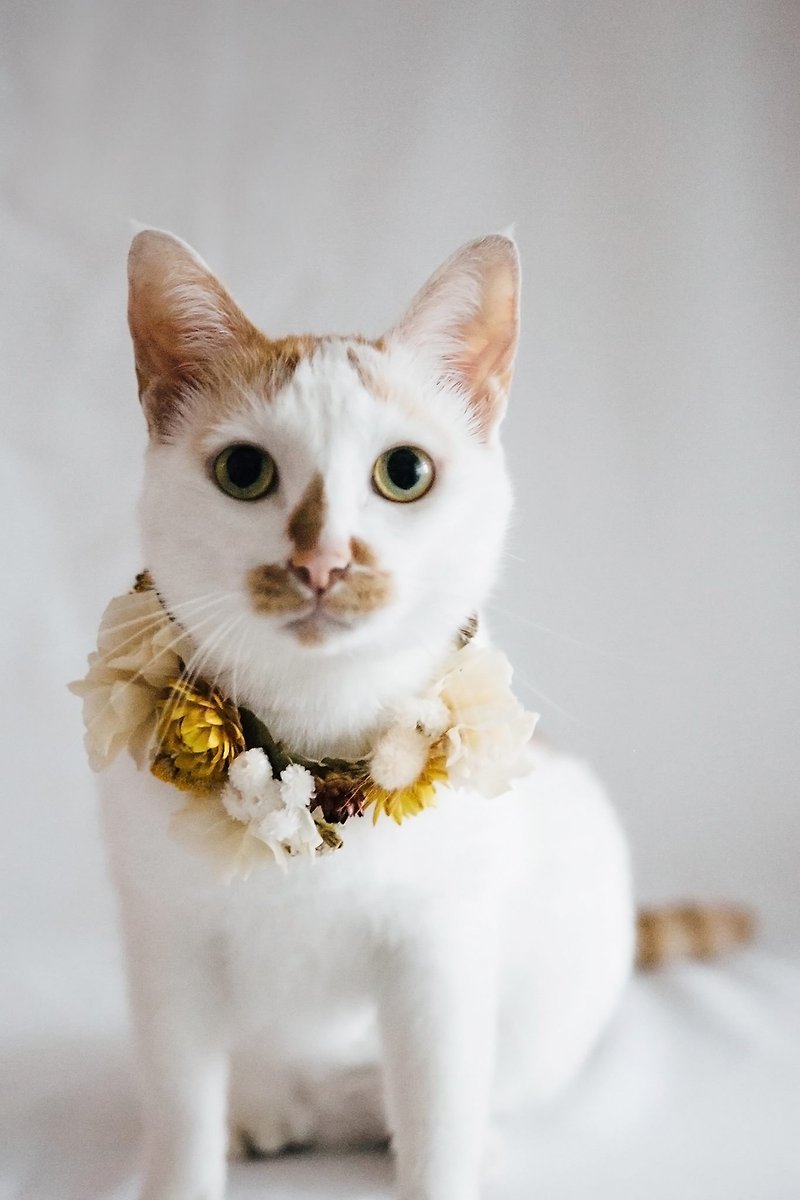 Flower Collar !! Pet Wreath Pet Flower Pet Cat and Dog Wedding Collar Wreath - ปลอกคอ - พืช/ดอกไม้ 