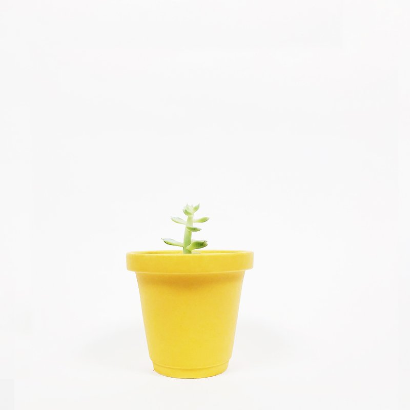 Simple frosted mini fleshy cactus plant ceramic flowerpot - egg yellow - ตกแต่งต้นไม้ - เครื่องลายคราม สีเหลือง