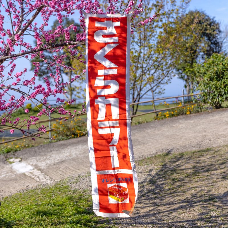 Sang Hui Company 1967s Japanese Sakura brand film advertising commemorative flag さくらカラー N-100 - ของวางตกแต่ง - ผ้าไหม หลากหลายสี