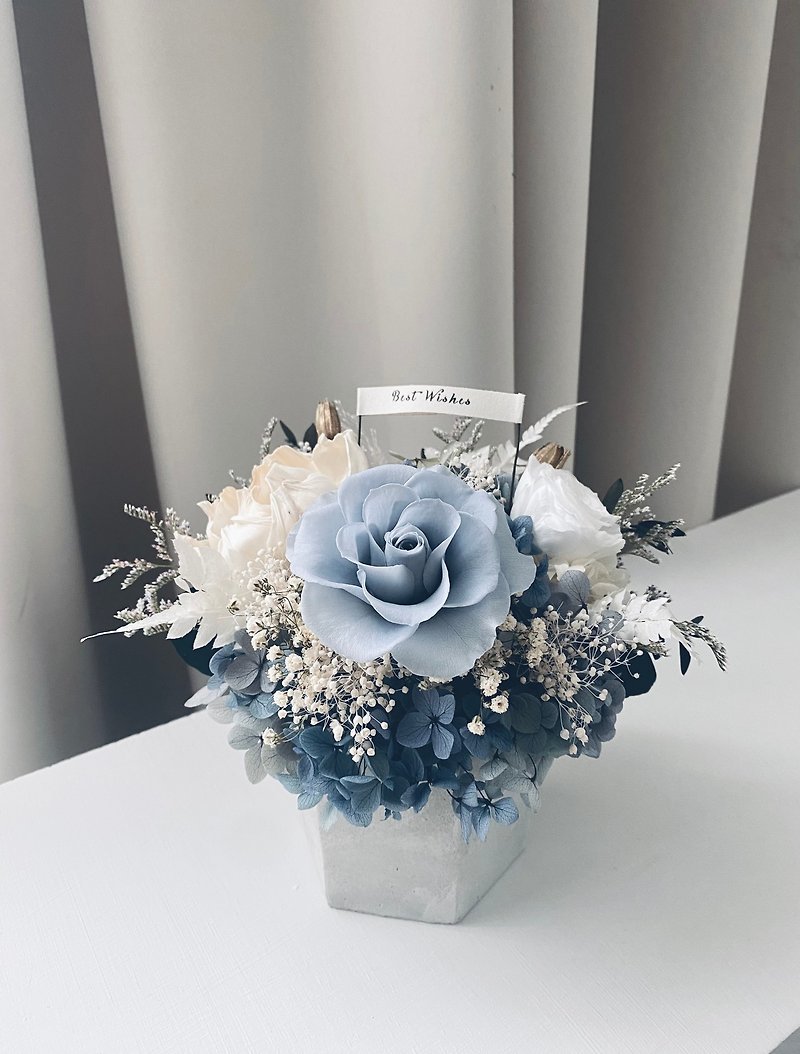 Mother's Day Opening Promotion New Home Zhiqing Gray Blue Low-key Color Diffusing Essential Oil Preserved Flowers Cement Flower Pot Flowers - ช่อดอกไม้แห้ง - พืช/ดอกไม้ สีน้ำเงิน