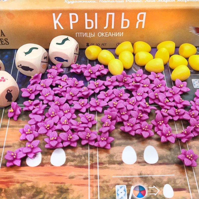 與翼展兼容的豪華資源代幣。大洋洲擴展棋盤遊戲 - 桌遊/卡 Game - 其他材質 