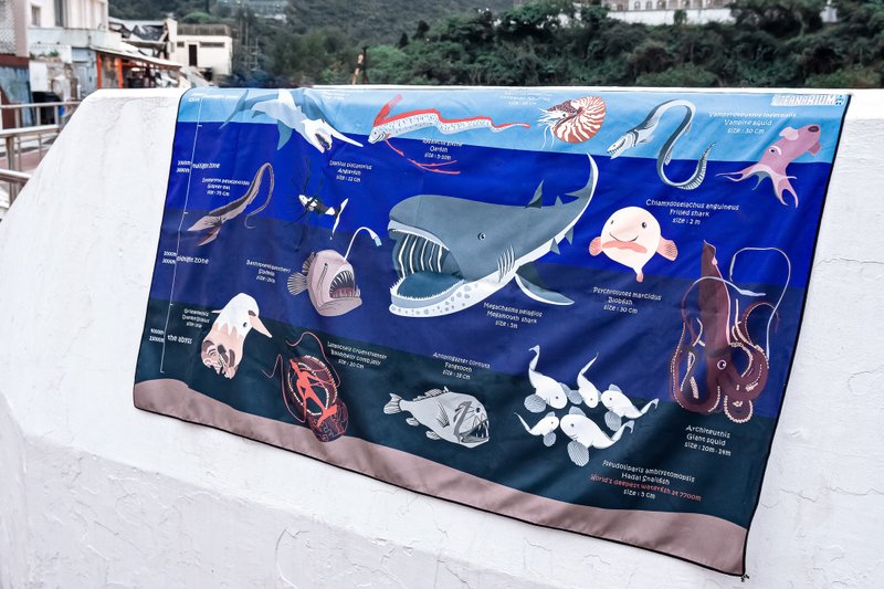 deepsea marinelife dry towel *80CM X 140CM* - อุปกรณ์เสริมกีฬา - ไฟเบอร์อื่นๆ สีน้ำเงิน