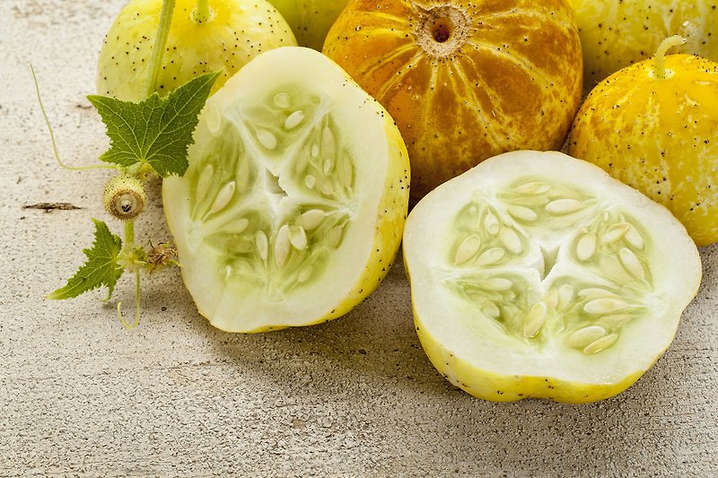 Lemon Cucumber/Cultivation Combination - Plants - Paper Yellow