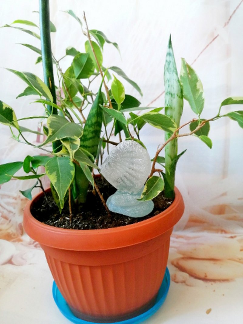 Desk plant sitter Sea glass decor.Planter decoration Coastal decor.Fairy garden - 盆栽/植栽 - 玻璃 白色