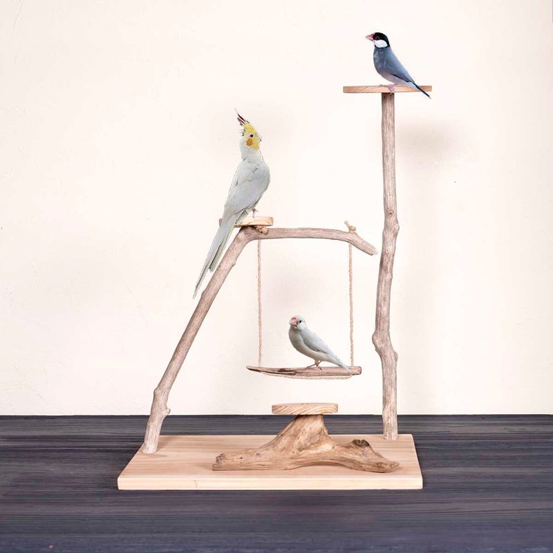 流木の止まり木【バードランドの子守歌】バードスタンド、止まり木、流木、流木アート、飾り棚、１３１ - 貓/狗玩具 - 木頭 咖啡色