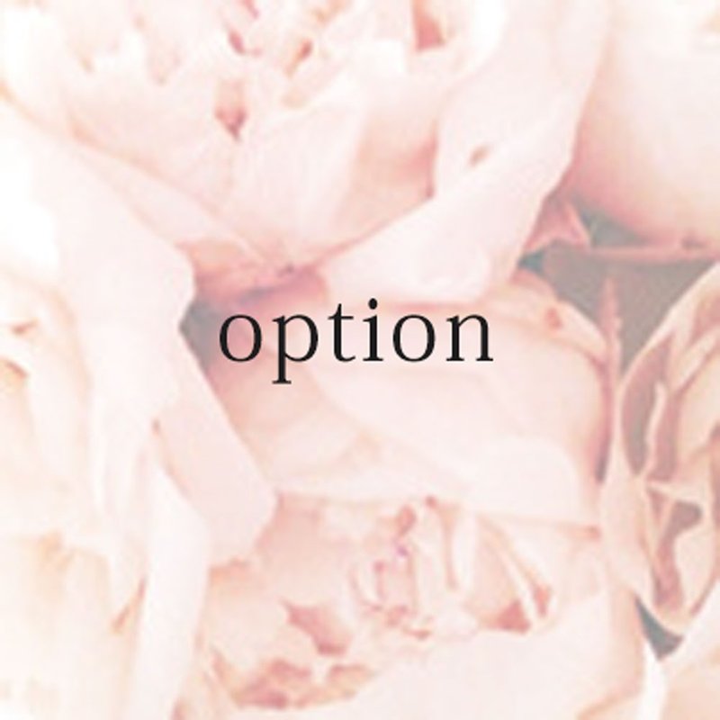 option - 其他 - 其他材質 透明