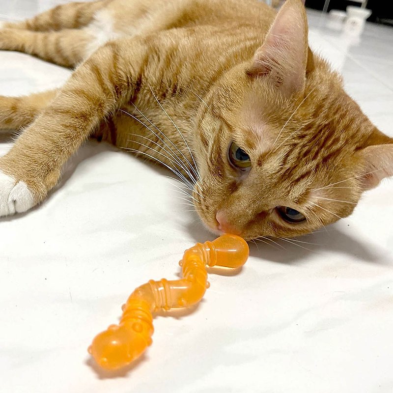 貓玩具 歐卡貓草毛毛蟲 幫助按摩貓咪的牙齦 - 貓/狗玩具 - 其他材質 