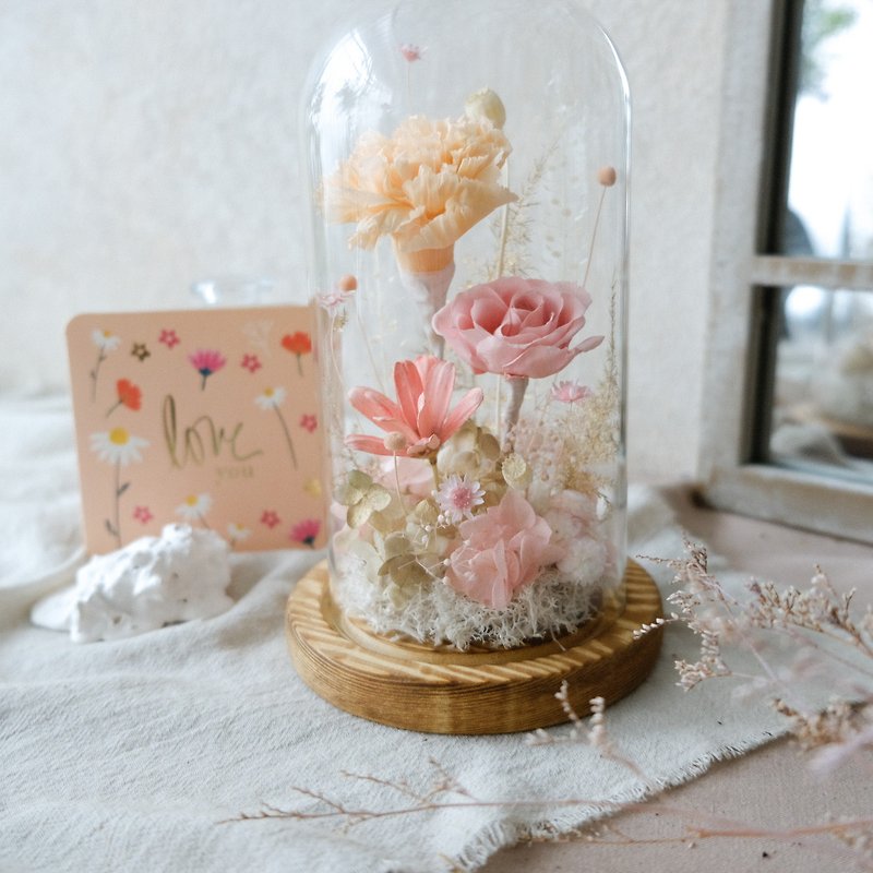 Glass bell jar/orange/lasting flowers/everlasting flowers/dried flowers/carnations/Mother’s Day/gifts - Plants - Plants & Flowers Orange