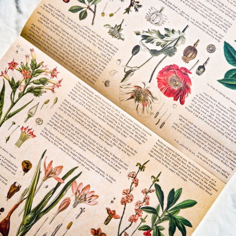 dictionary of plants A4 100sheets Double Sided design paper (honne market) - วัสดุห่อของขวัญ - กระดาษ สีกากี