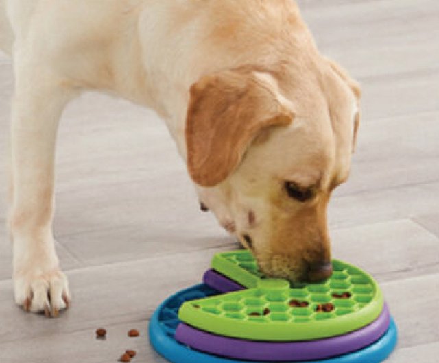 スウェーデンの知育玩具】貪欲犬 回転スローフードプレート（2