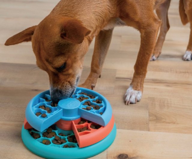 スウェーデンの知育玩具】貪欲犬 回転スローフードプレート（2