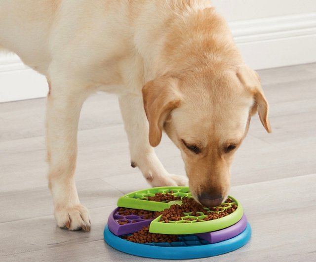 楽天市場】犬 知育玩具 おもちゃ ノーズワーク 知育トイ ペット