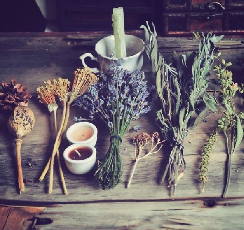 Healing herbs PACKAGE - Fragrances - Plants & Flowers Green