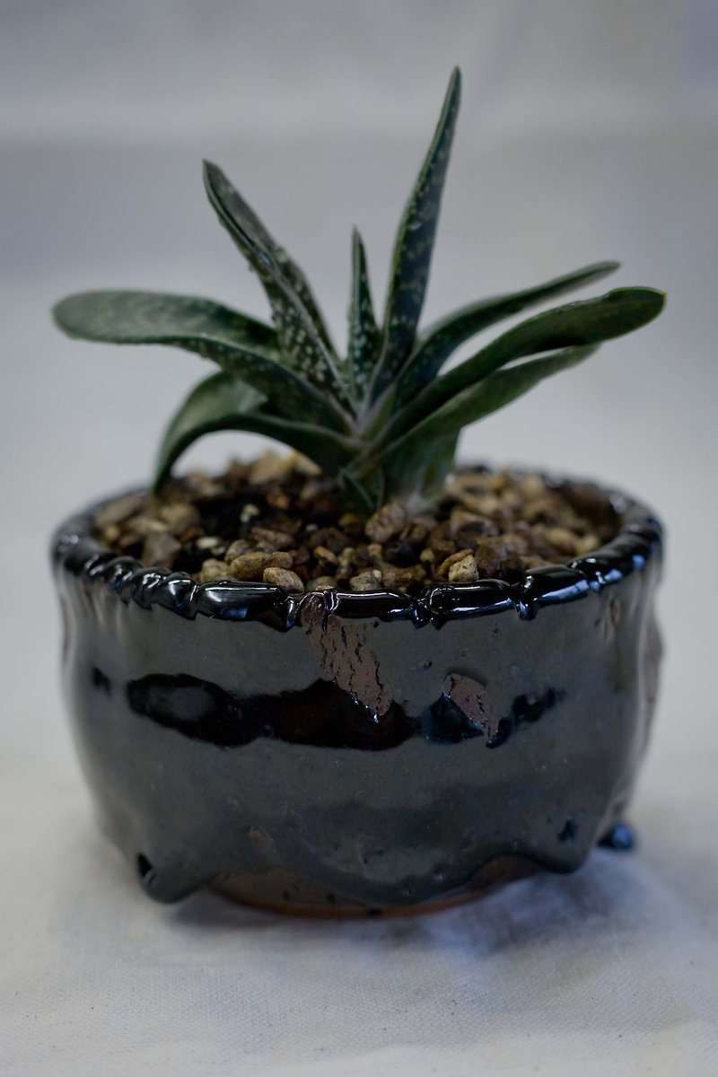 [Rain] hand-made hand Nietao Flower Mania - [Black spot] - Pottery & Ceramics - Other Materials Black