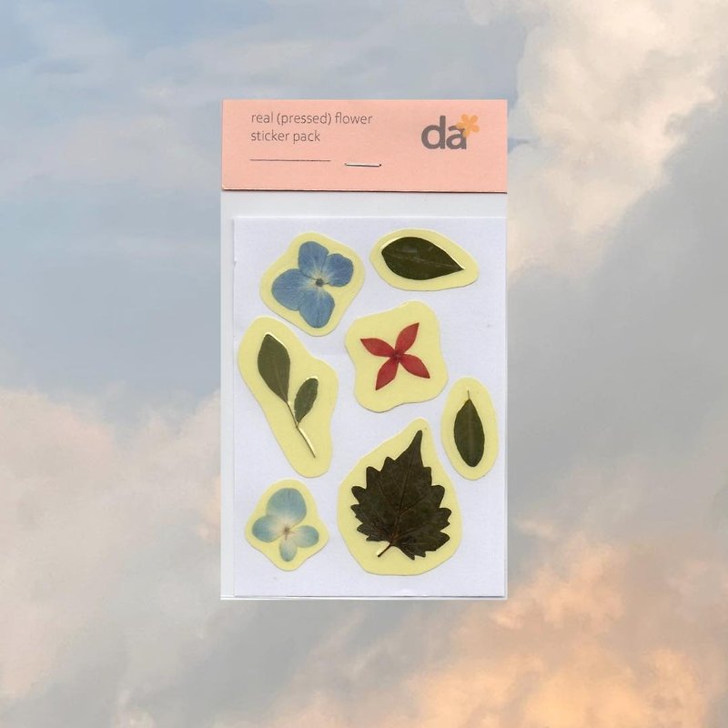 dried flower sticker (mixed flower, hydrangea, needle flower) - 貼紙 - 塑膠 多色